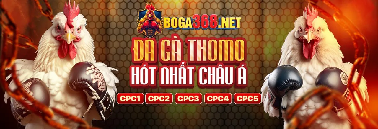 Đăng nhập và bắt đầu chơi trên Kong88