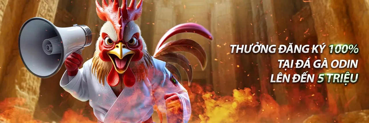 Hình ảnh chính sách cookie của Kong88, bảo vệ dữ liệu và quyền riêng tư